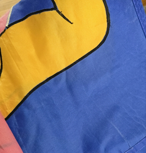 Vintage Winnie The Pooh Valentines Day Hearts Outdoor Flag Double Sided Yard - Picture 12 of 12